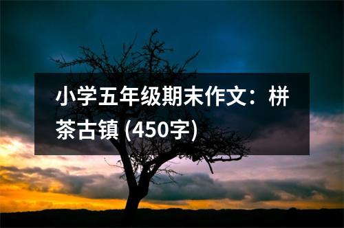 小學(xué)五年級(jí)期末作文：栟茶古鎮(zhèn) (450字)