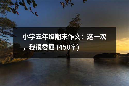 小學(xué)五年級(jí)期末作文：這一次，我很委屈 (450字)