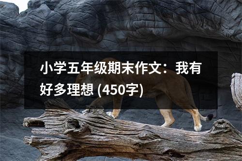 小學(xué)五年級(jí)期末作文：我有好多理想 (450字)