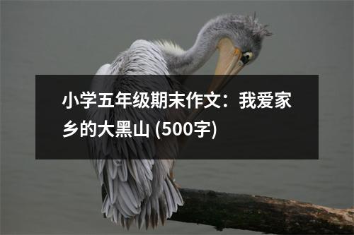 小學(xué)五年級(jí)期末作文：我愛家鄉(xiāng)的大黑山 (500字)