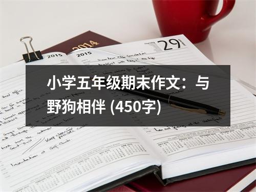 小學五年級期末作文：與野狗相伴 (450字)