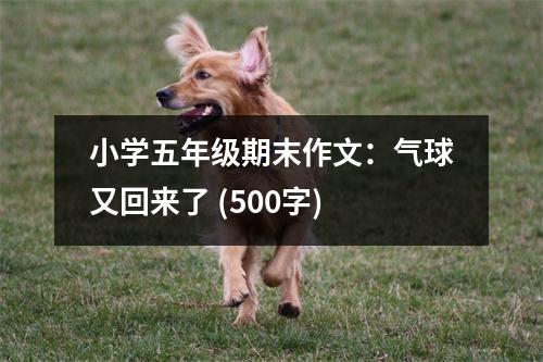 小學(xué)五年級期末作文：氣球又回來了 (500字)