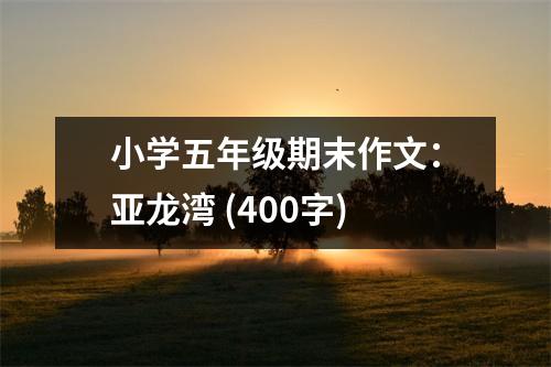 小學(xué)五年級期末作文：亞龍灣 (400字)