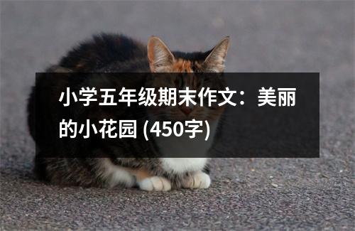 小學(xué)五年級期末作文：美麗的小花園 (450字)