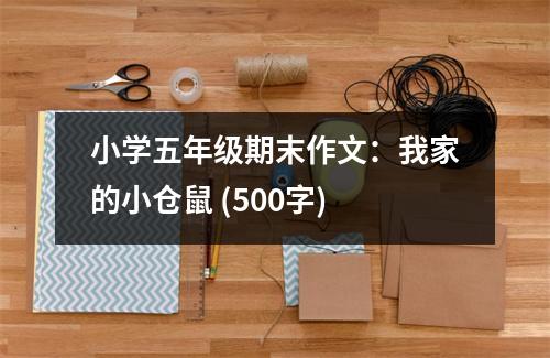 小學五年級期末作文：我家的小倉鼠 (500字)