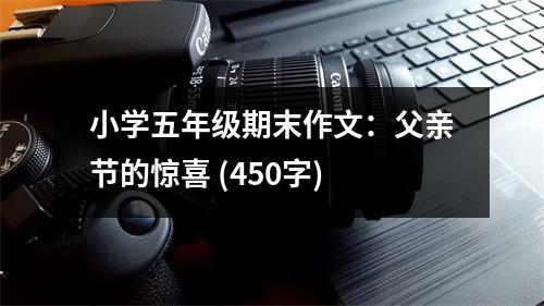 小學五年級期末作文：父親節(jié)的驚喜 (450字)