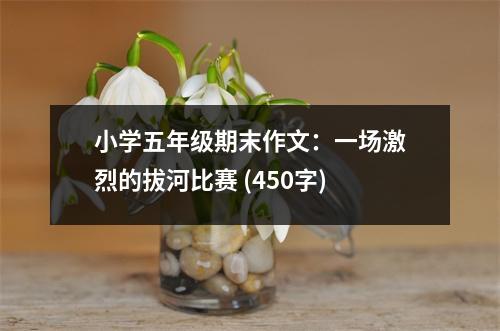 小學五年級期末作文：一場激烈的拔河比賽 (450字)