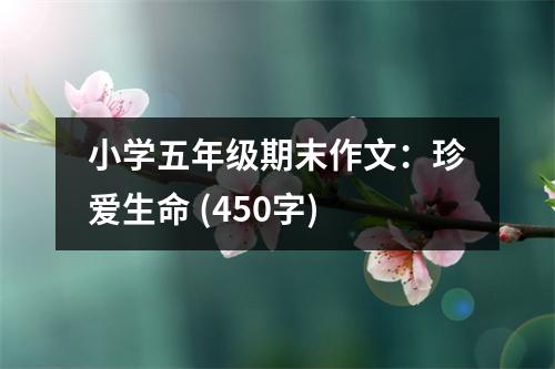 小學五年級期末作文：珍愛生命 (450字)