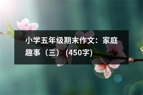 小學五年級期末作文：家庭趣事（三） (450字)