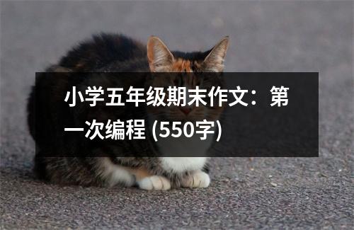 小學五年級期末作文：第一次編程 (550字)