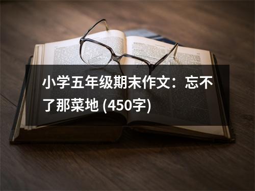 小學五年級期末作文：忘不了那菜地 (450字)