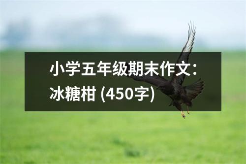 小學五年級期末作文：冰糖柑 (450字)
