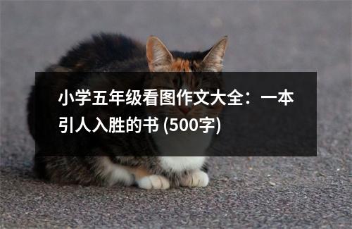 小學(xué)五年級看圖作文大全：一本引人入勝的書 (500字)