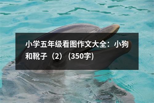 小學(xué)五年級(jí)看圖作文大全：小狗和靴子（2） (350字)