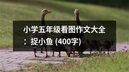 小學(xué)五年級看圖作文大全：捉小魚 (400字)