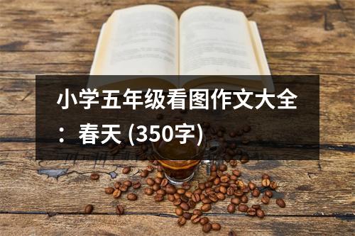 小學(xué)五年級看圖作文大全：春天 (350字)