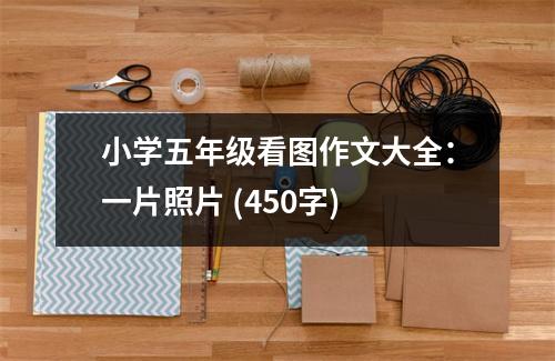 小學五年級看圖作文大全：一片照片 (450字)