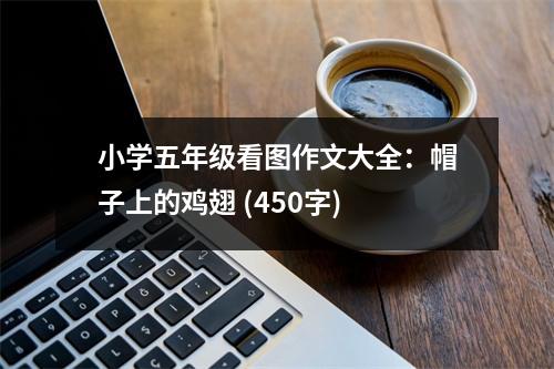 小學(xué)五年級看圖作文大全：帽子上的雞翅 (450字)