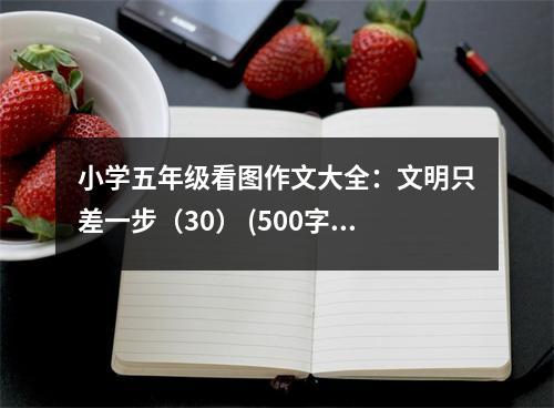 小學(xué)五年級看圖作文大全：文明只差一步（30） (500字)