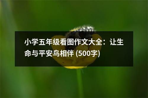 小學(xué)五年級(jí)看圖作文大全：讓生命與平安鳥(niǎo)相伴 (500字)