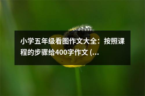 小學五年級看圖作文大全：按照課程的步驟給400字作文 (450字)
