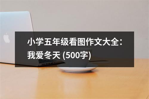 小學(xué)五年級看圖作文大全：我愛冬天 (500字)