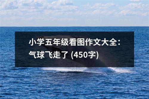 小學(xué)五年級看圖作文大全：氣球飛走了 (450字)