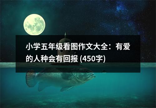 小學(xué)五年級看圖作文大全：有愛的人種會有回報 (450字)