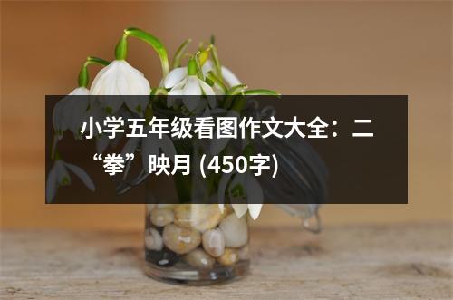 小學五年級看圖作文大全：二“拳”映月 (450字)