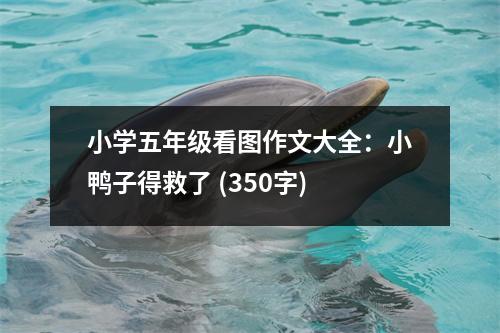 小學(xué)五年級(jí)看圖作文大全：小鴨子得救了 (350字)