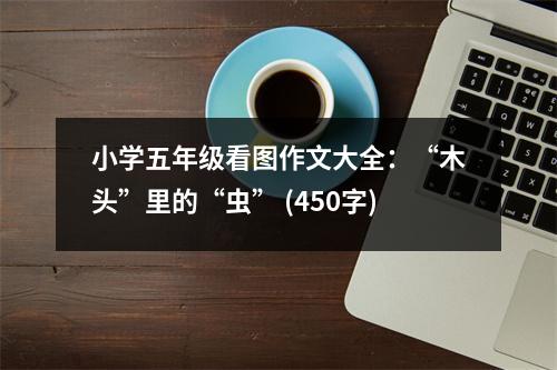 小學(xué)五年級(jí)看圖作文大全：“木頭”里的“蟲” (450字)