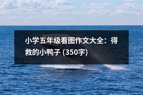 小學五年級看圖作文大全：得救的小鴨子 (350字)