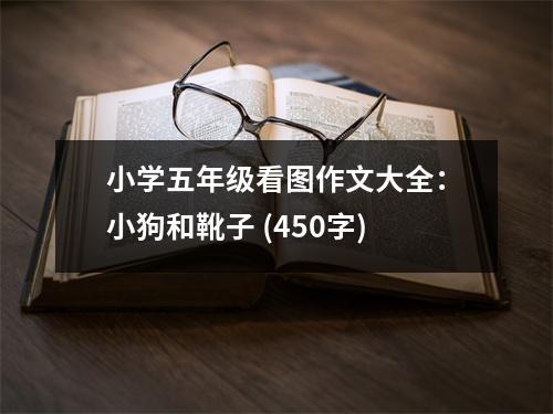 小學(xué)五年級(jí)看圖作文大全：小狗和靴子 (450字)