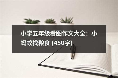 小學五年級看圖作文大全：小螞蟻找糧食 (450字)
