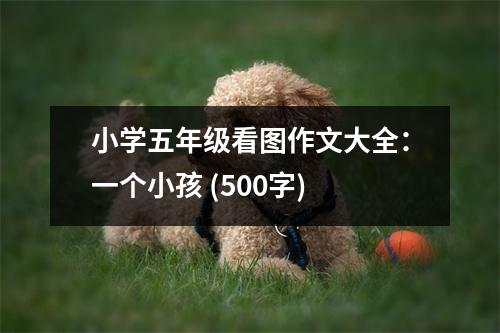 小學(xué)五年級(jí)看圖作文大全：一個(gè)小孩 (500字)