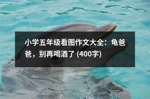 小學(xué)五年級(jí)看圖作文大全：龜爸爸，別再喝酒了 (400字)