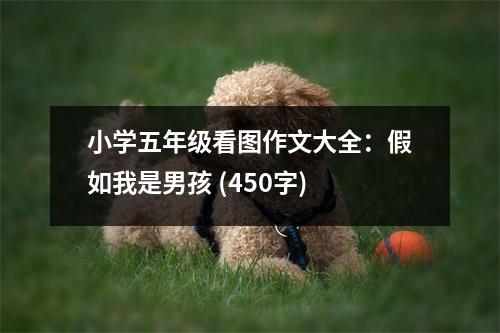 小學五年級看圖作文大全：假如我是男孩 (450字)