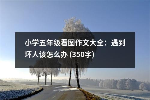 小學(xué)五年級(jí)看圖作文大全：遇到壞人該怎么辦 (350字)