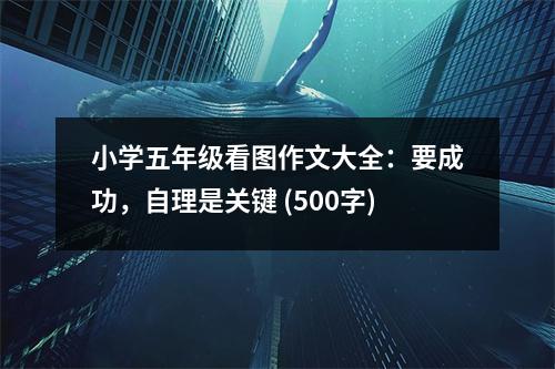 小學(xué)五年級看圖作文大全：要成功，自理是關(guān)鍵 (500字)