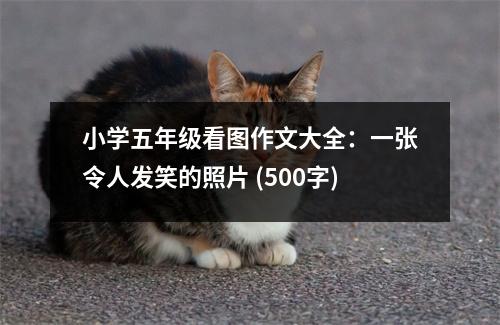 小學(xué)五年級(jí)看圖作文大全：一張令人發(fā)笑的照片 (500字)