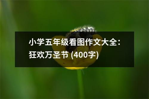 小學(xué)五年級看圖作文大全：狂歡萬圣節(jié) (400字)