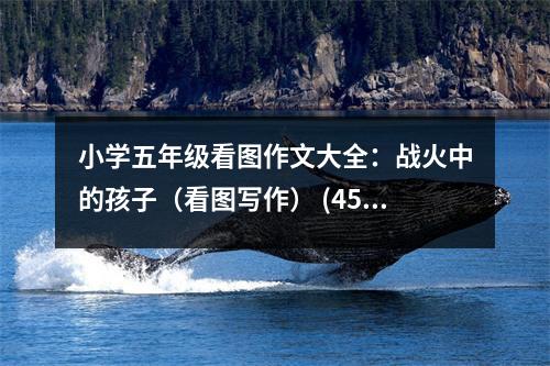 小學(xué)五年級(jí)看圖作文大全：戰(zhàn)火中的孩子（看圖寫作） (450字)