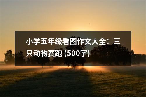 小學(xué)五年級看圖作文大全：三只動物賽跑 (500字)