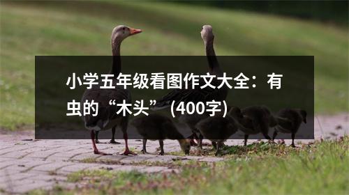 小學(xué)五年級(jí)看圖作文大全：有蟲(chóng)的“木頭” (400字)