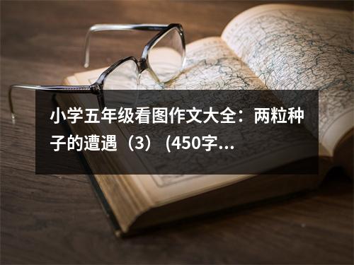 小學五年級看圖作文大全：兩粒種子的遭遇（3） (450字)