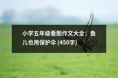 小學(xué)五年級看圖作文大全：魚兒也用保護傘 (450字)
