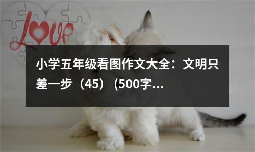 小學(xué)五年級看圖作文大全：文明只差一步（45） (500字)