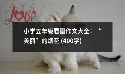 小學(xué)五年級(jí)看圖作文大全：“美麗”的煙花 (400字)