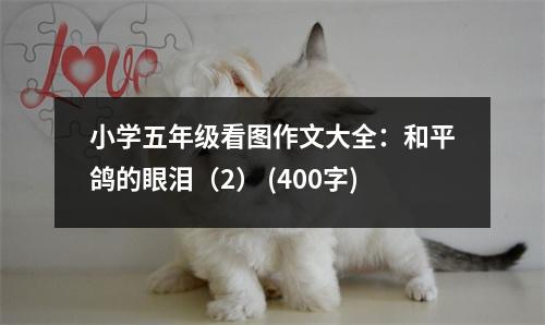 小學(xué)五年級看圖作文大全：和平鴿的眼淚（2） (400字)
