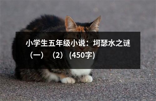 小學(xué)生五年級小說：坷瑟水之謎（一）（2） (450字)
